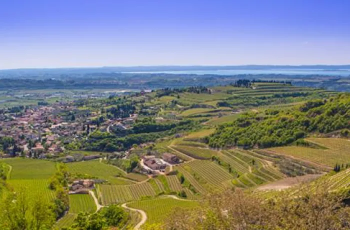 enoturismo, slowturism,  sostenibilità, turismo, valpolicella