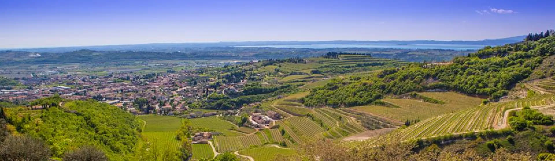 enoturismo, slowturism,  sostenibilità, turismo, valpolicella