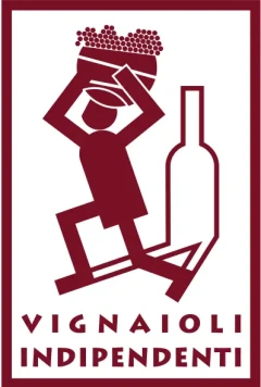 FIVI Logo